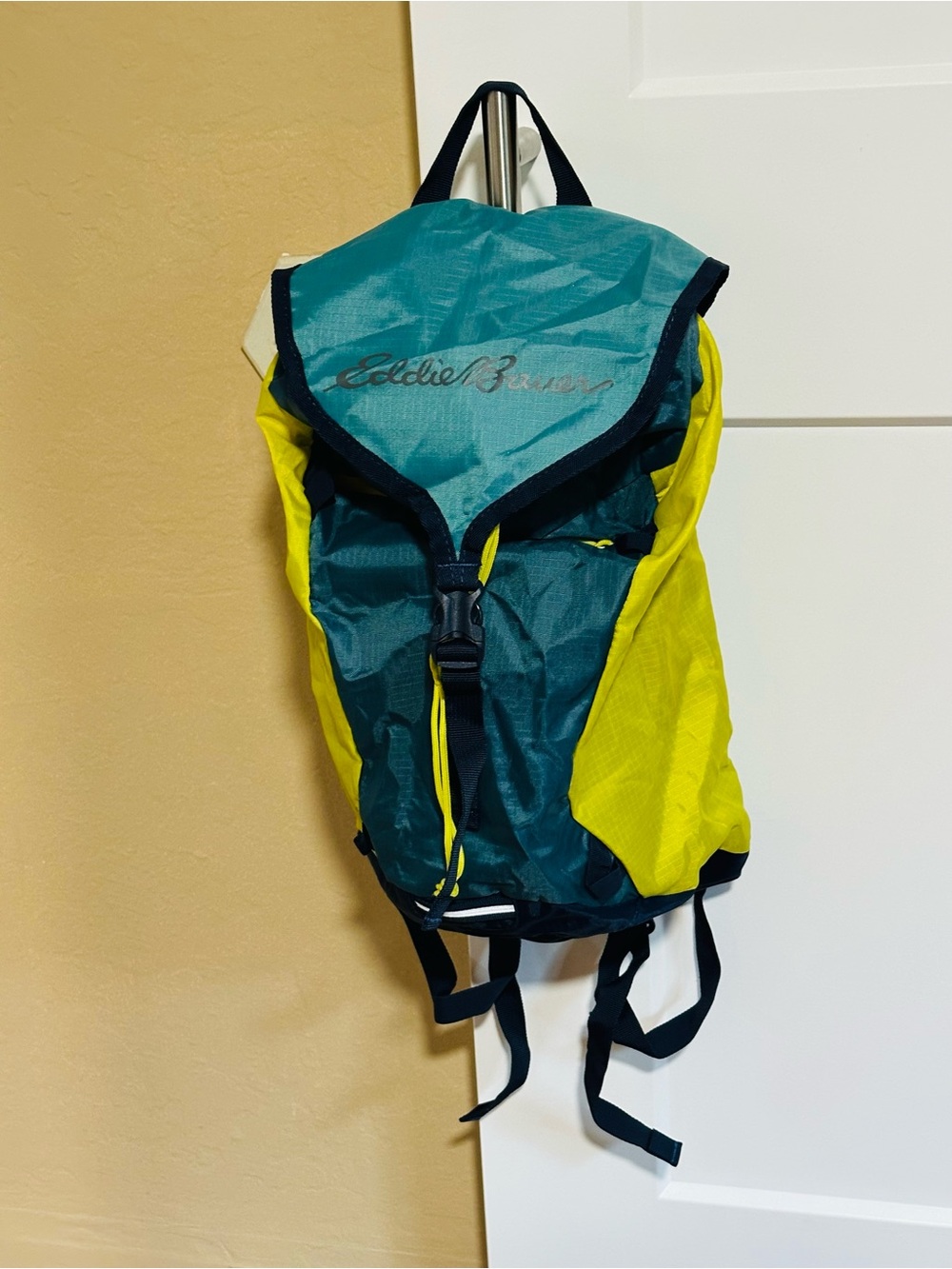 Eddie Bauer Stowaway Packable 20L Backpack